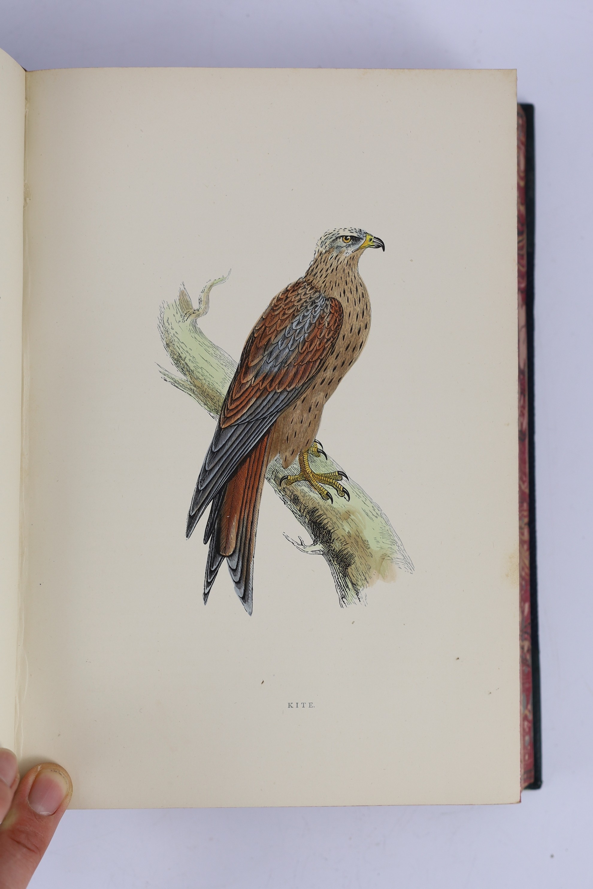 Morris, Rev. Francis Orpen - A History of British Birds, 4th edition. revised, corrected, and enlarged, 6 vols. 394 hand coloured plates; contemp. gilt decorated green half morocco and cloth, marbled edges and e/ps., 4 t